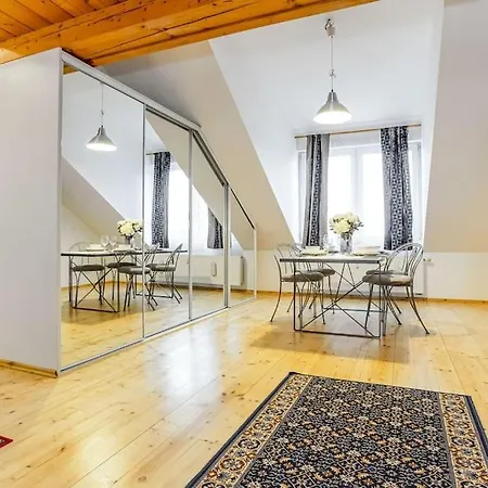 Utulny A Prostorny Podkrovni S Krbovymi Kamny Apartment Ceske Budejovice