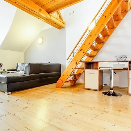 Utulny A Prostorny Podkrovni S Krbovymi Kamny Apartment *