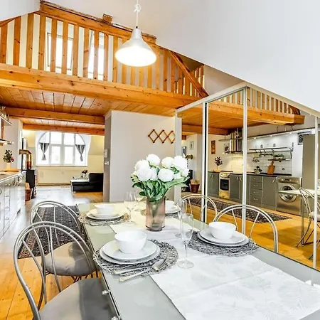 Utulny A Prostorny Podkrovni S Krbovymi Kamny Ceske Budejovice